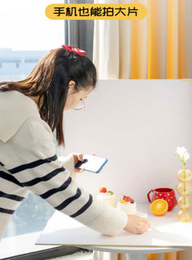 沃尔夫冈拍照白色背景板摄影道具复古ins摆件装饰品背景纸宠物布