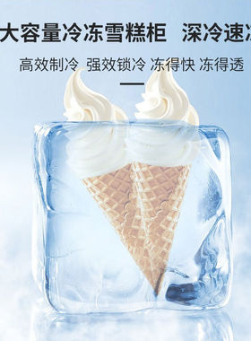 领航雪冰柜商用大容量市冷冻冰箱展示柜卧式保鲜雪糕柜冰糕柜冰棍