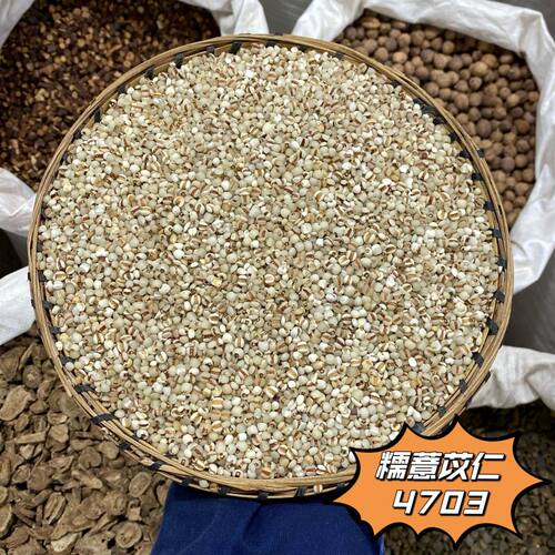 薏苡仁  大颗粒当季新货薏仁米100g起购 - 图1