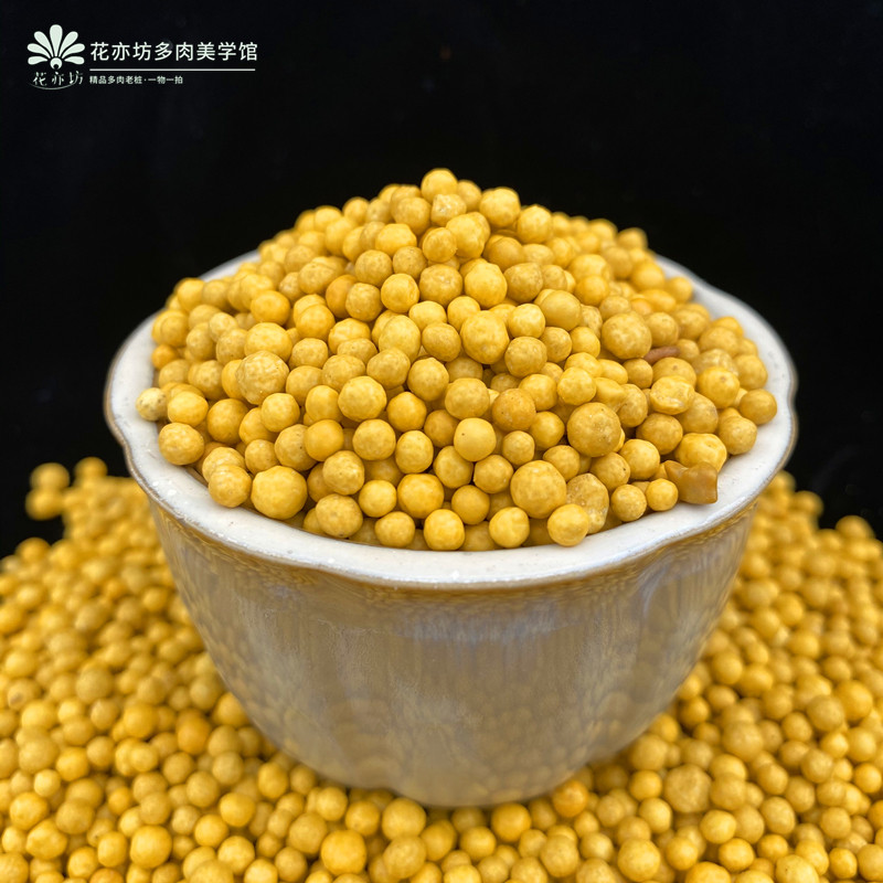 碧育长效控释肥多肉植物肥料缓释肥颗粒肥爆崽群生发侧芽壮苗包邮 花亦坊多肉官方店 淘优券