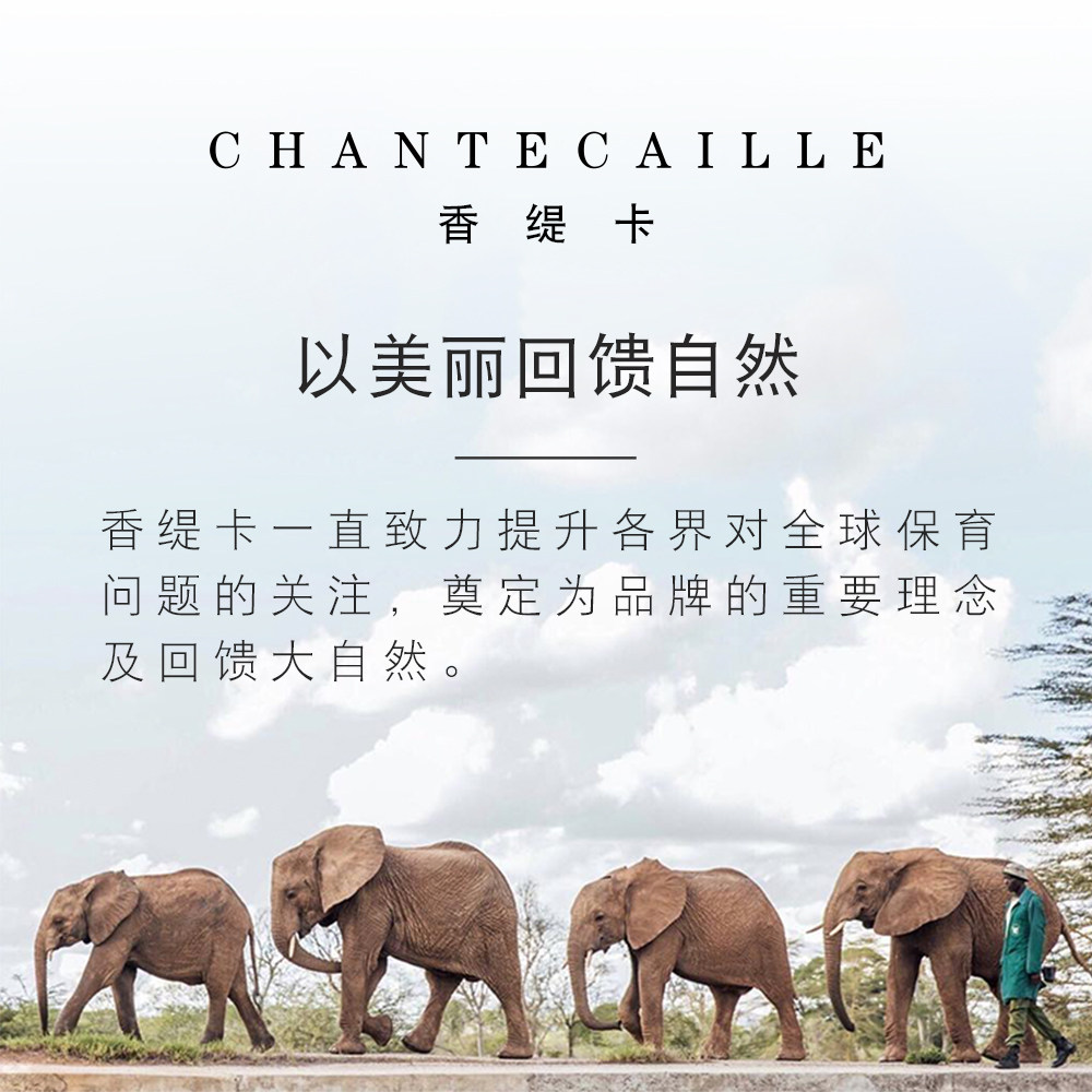 chantecaille /香缇卡限量版4g睡莲 Chantecaille海外高光