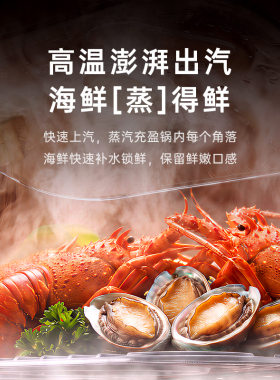 BRUNO蒸鲜锅不锈钢蒸箱