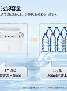 世虹（SHIHONG）过滤水壶家用净水壶办公室净水器免安装厨房自来