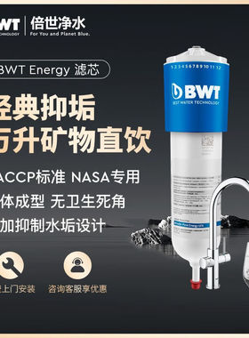 倍世（BWT）【120升级款】进口即热净水器家用矿物直饮机厨下式厨