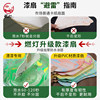 10 pieces of rice paper fans can be used as lacquer fans for calligraphy and painting