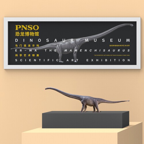 PNSO马门溪龙尔玛恐龙博物馆1比45科学艺术模型 - 图0