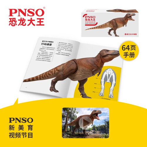 PNSO恐龙大王可动玩具系列01霸王龙卡梅隆 - 图0