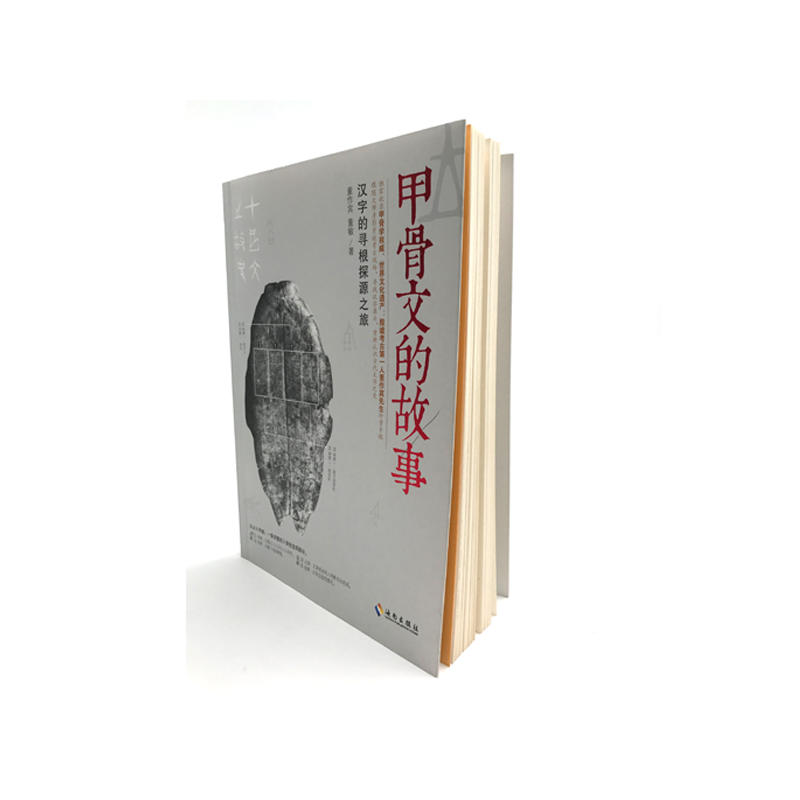 【海南出版社】甲骨文的故事跟随大师重返考古现场，寻找汉字源头汉子的故事字源甲骨文字典甲骨文丛书书籍畅想书排行榜-图2