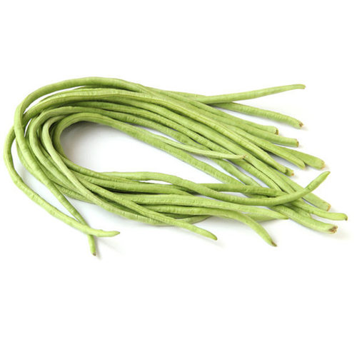 张唐王豇豆种子特长豆角架豆菜豆绿白条 春播夏秋四季豆蔬菜高产 - 图3