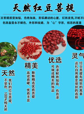 天然相思红豆整孔串珠DIY配件