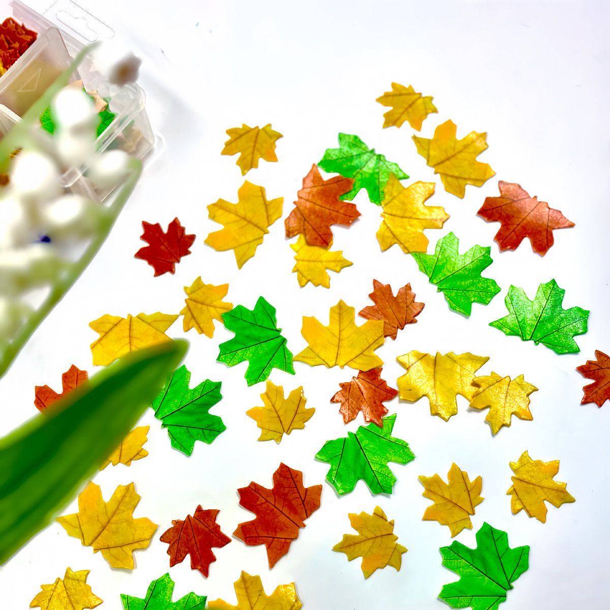 枫叶威化纸蛋糕装饰食用糯米纸蝴蝶蛋糕红色绿色黄色甜品烘焙装饰,淘宝优惠券,粉丝福利购,淘宝优惠卷