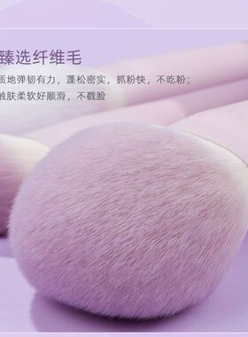 星黛紫化妆刷10支全套 软毛不扎脸新手便携美妆套刷