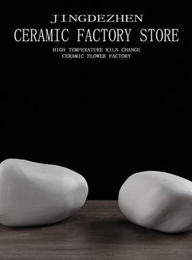 陶瓷白色异形搭配软装简约风石头