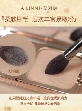 艾琳米河北沧州长杆高光刷