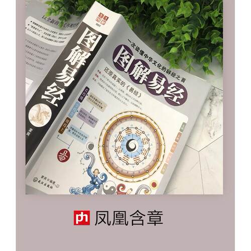 正版包邮 图解易经 周易全书国学经典四书五经  古籍哲学畅销书籍 易经入门风水64卦梅花易数书籍 周易大全朱熹解易道德经中国文化 - 图3