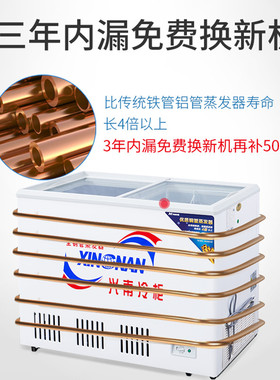 兴南铜管卧式急冻双温玻璃冰柜