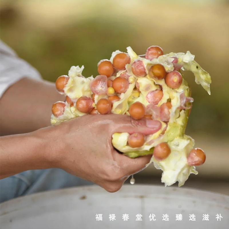 生 芡实600g 正宗肇庆生芡实欠实  召术 干货  鸡头米果 - 图2