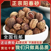 Spring Sands Ren Yang Spring Sand Kernel Dry Goods Sand Rind Fruit 500g Special Class Sand Kernel Pot Soup Medicinal Fresh Chinese Herbal Medicine New Goods