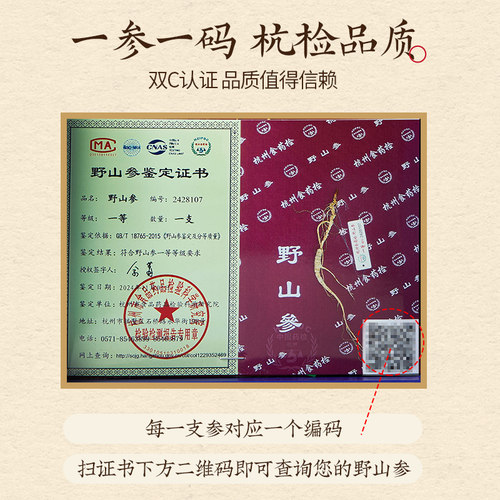 方回春堂长白山东北人参带证书杭检一等野山参礼盒装长辈旗舰店 - 图2