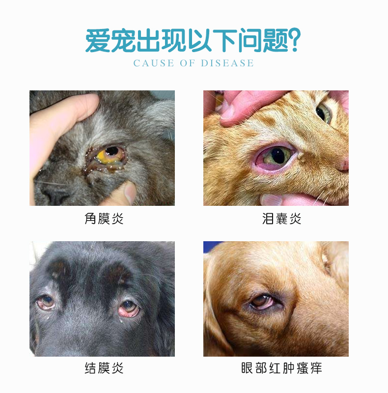 2瓶装杏辉滴朗见大微素去泪痕抗菌消炎宠物猫狗眼药水鼻支滴眼液 - 图0