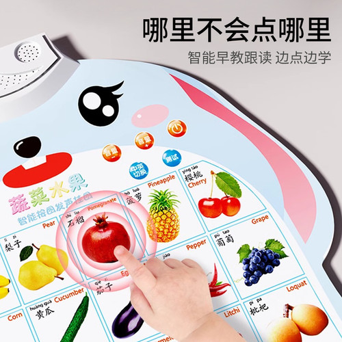 宝宝有声早教挂图点读发声书婴幼儿童识字学习启蒙玩具拼音字母表 - 图1