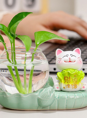 创意办公室工位水养绿植花瓶器皿装饰卡通元气招财猫水培家居