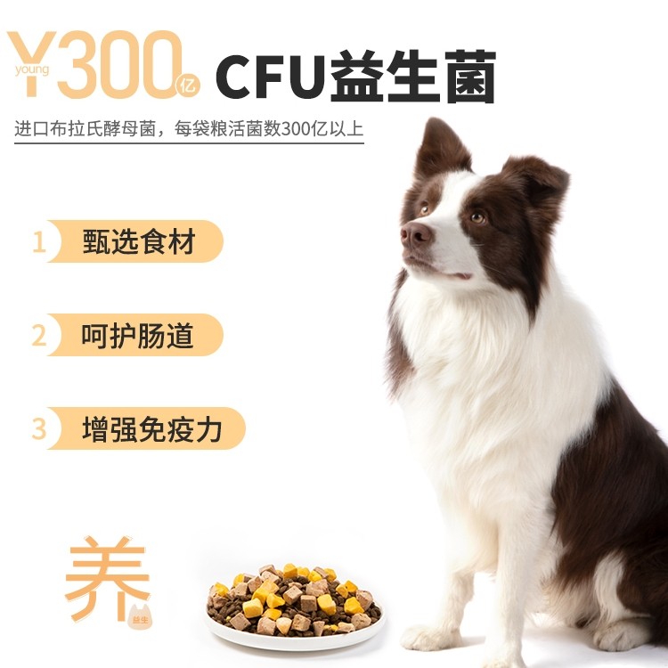 【佩妮61】狗粮系列 全价Y300益生菌无谷鲜肉冻干狗主食粮送试吃,淘宝优惠券,粉丝福利购,淘宝优惠卷