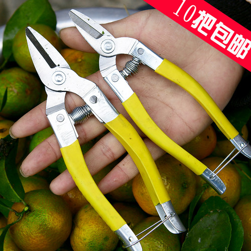 修枝剪修花剪刀枝剪采果园艺家用柑橘桔子刀剪葡萄专用圆头小嘴 - 图1