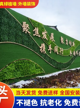 户外网红仿真绿植背景墙管道遮丑尤加利什锦草绿雕装饰米兰假草坪
