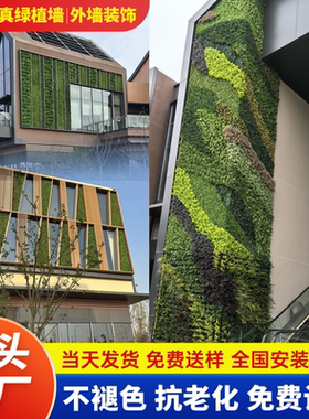 室内外仿真植物墙人造草皮假花