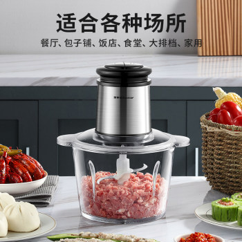 Royalstar Meat Grinder Household Electric Stainless Steel Small Automatic Mixing Minced Meat and Vegetables Multifunctional Cooking Machine