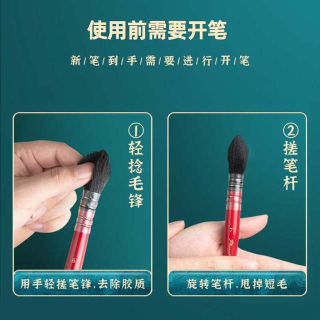 Red fat squirrel hair art special watercolor pen outline