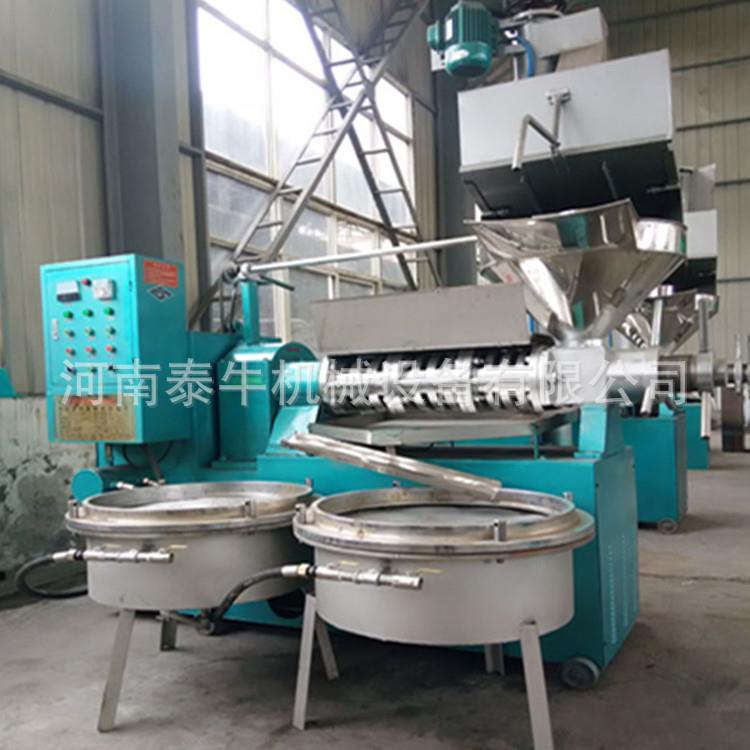 油茶籽油压榨机小型橄榄油榨油机两相电棕榈果冷榨榨油机 - 图2