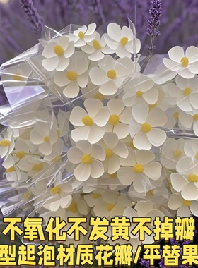 白色紫罗兰干花仿真摆件手工DIY爱的表达闺蜜母亲节日专属花材