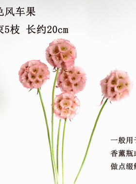diy干花风车云南家居网香薰材料