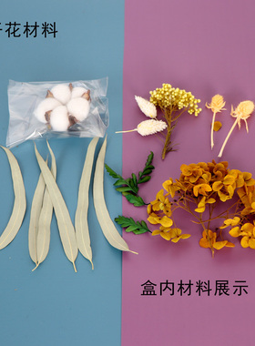 干花DIY新娘头饰相框团扇浮游花干花材料包永生花幼儿园手工标本