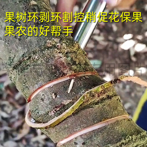 荔友17款通用环剥刀荔枝枣树柑橘柚树环割工具园林农用专业环割刀 - 图3