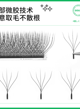 0.05五叶草睫毛三叶草5d开花