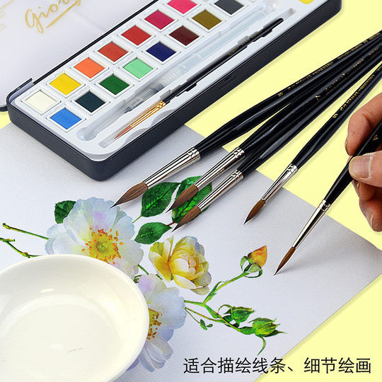 DaVinci – pinceau aquarelle v35, rangée de pinceaux à pigments solides