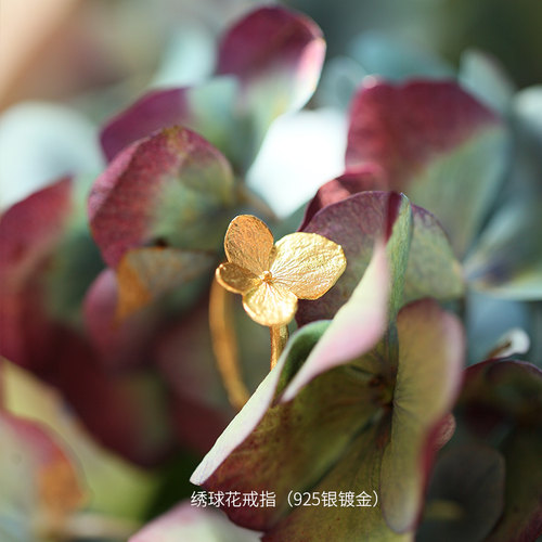 Michael Michaud绣球花朵食指戒指女复古冷淡风小众设计生日礼物 - 图2