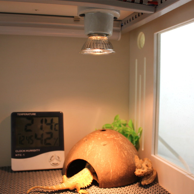 乌龟晒背灯补uvauvb全光谱钙龟太阳灯晒龟灯爬宠保温龟缸加热灯泡,淘宝优惠券,粉丝福利购,淘宝优惠卷