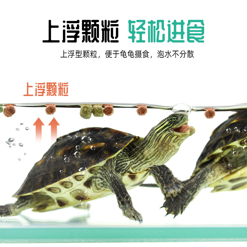 龟粮乌龟饲料巴西龟专用草龟食物甲鱼石金钱粮食鳄龟小水龟粮幼龟,淘宝优惠券,粉丝福利购,淘宝优惠卷
