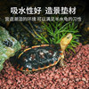 Turtle Huang Yuan An Yuan uses laterite stone to pet tortoise landscaping to decorate the humus soil lizard gecko breeding box mat.
