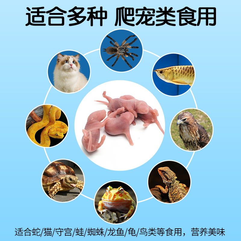 商品详情图片