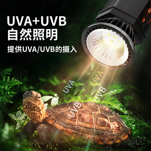乌龟晒背灯UVA+UVB全光谱led太阳灯爬虫照背灯龟缸照明灯三合一 - 图1