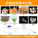 Танка черепахи с солнечной коробкой, стеклянная вилла, ландшафтный рыбный аквариум, чтобы поднять черепах, посвященные домашней гостиной