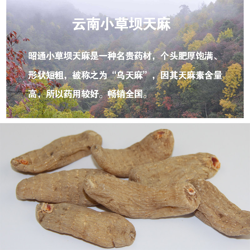 云南昭通小草坝500g代切天麻片天麻 花包树天麻