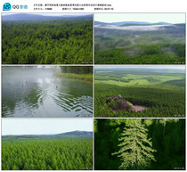 Sehan Dam Forest Field Summer Forest Aerial Photo Summer Scenery Nature View Promotional Film video material