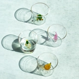 Итальянское стекло ICHENDORF.