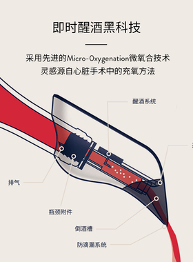 法国进口Aveine智能醒酒器高端